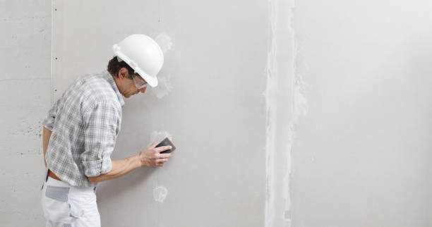 Best Drywall Removal and Disposal  in Pensacola, FL